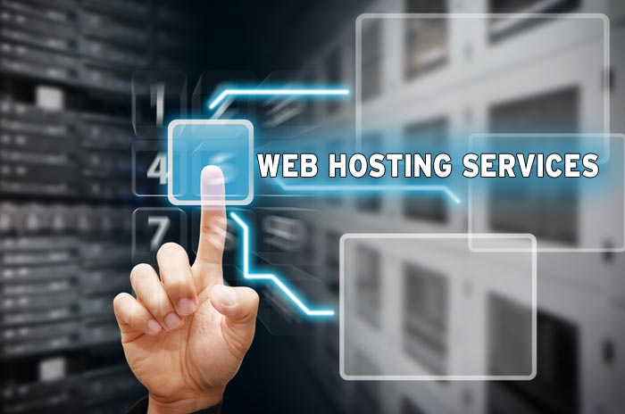 How does Web hosting business work