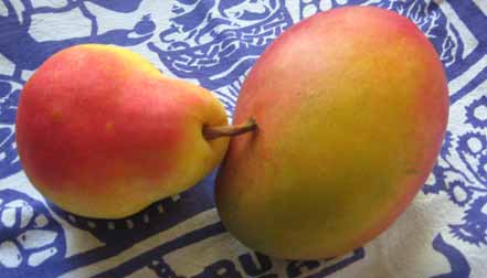 Mango and Pears