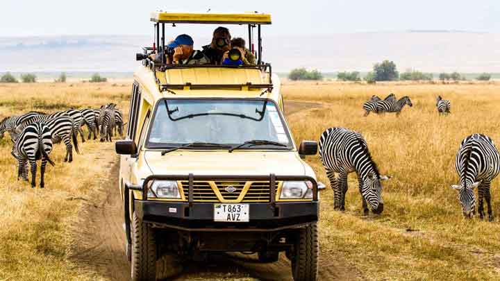 A Complete Guide to Safaris in Tanzania