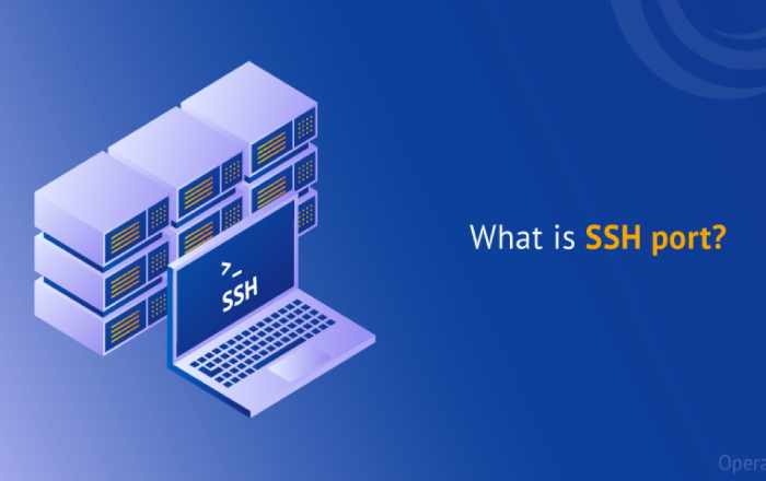 Why Do We Need SSH Client